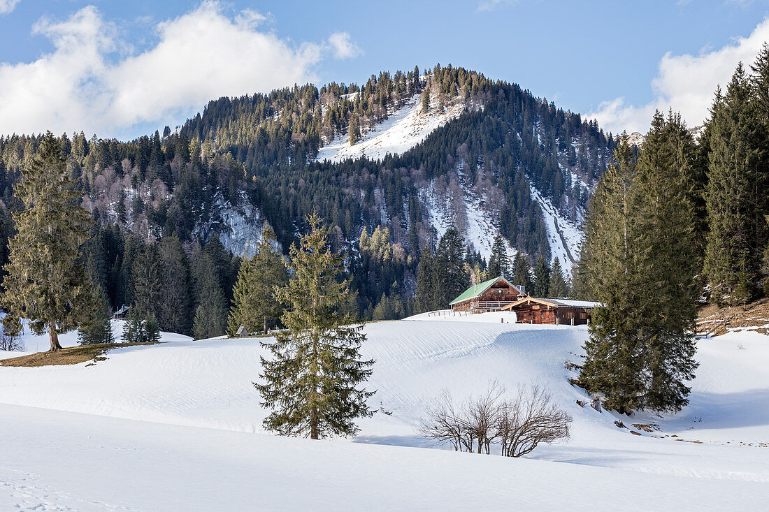 Schwarzentennalm in winter with snow, Mangfall Mountains, Bavaria, Germany