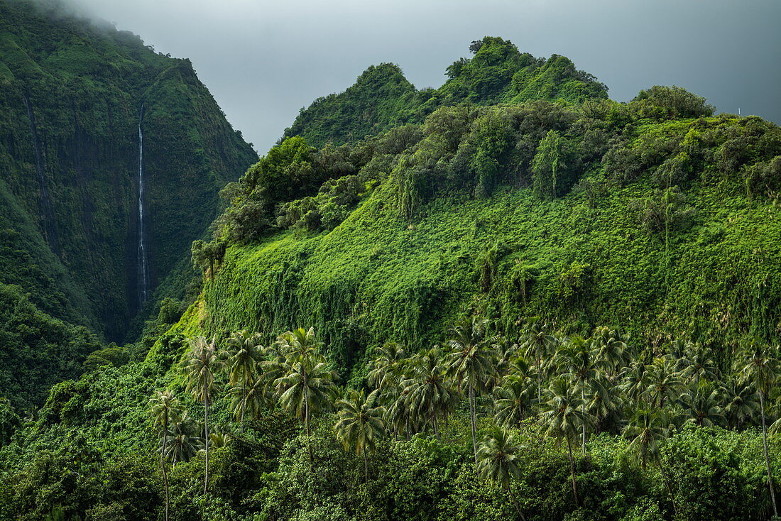 Üppige Vegetation auf Berg mit Wasserfall, Tahiti Iti, Tahiti, Windward Islands, Französisch-Polynesien, Südpazifik