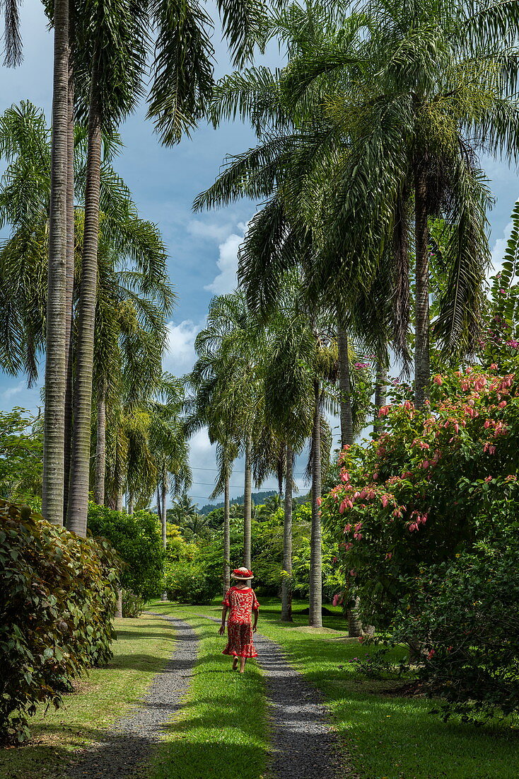 Würdige Tahitianerin läuft entlang eines von Kokospalmen gesäumten Pfades durch Garten, Tahiti, Windward Islands, Französisch-Polynesien, Südpazifik