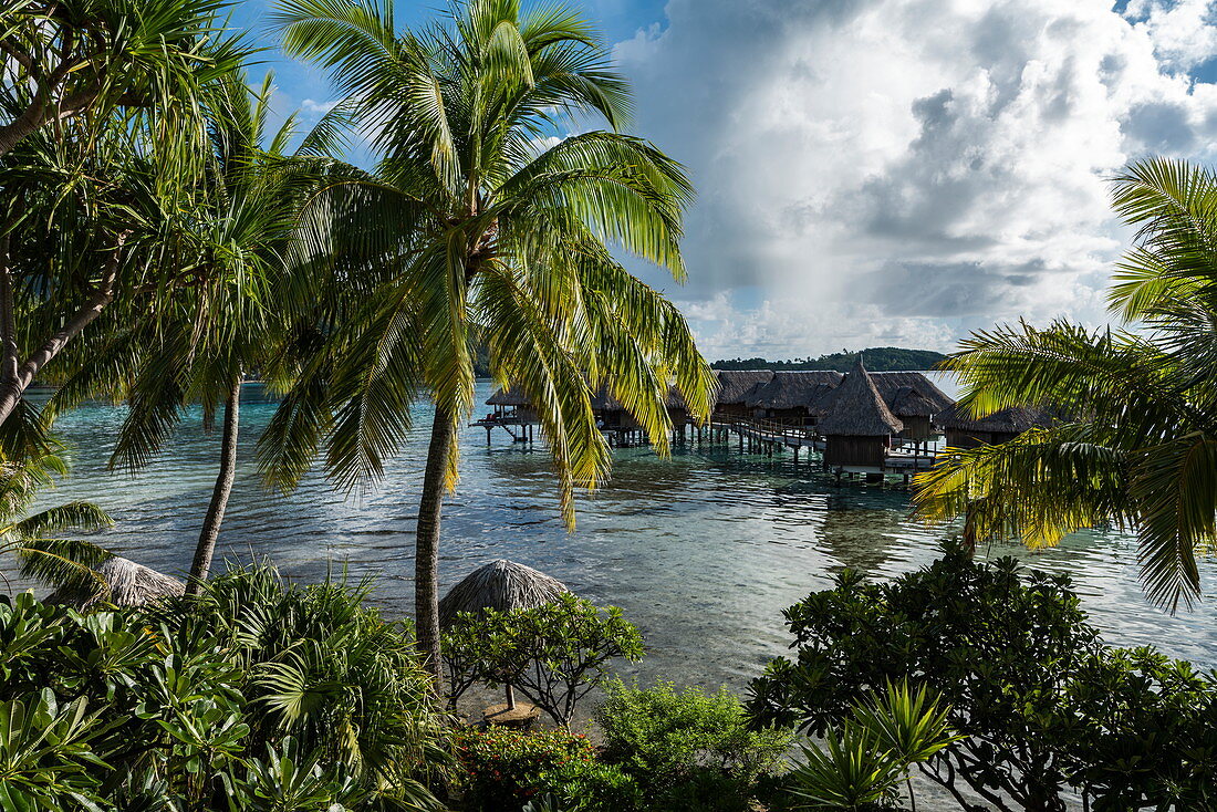 Kokospalmen und Überwasserbungalows des Sofitel Bora Bora Private Island Resort in der Lagune von Bora Bora bei Sonnenaufgang, Bora Bora, Leeward Islands, Französisch-Polynesien, Südpazifik