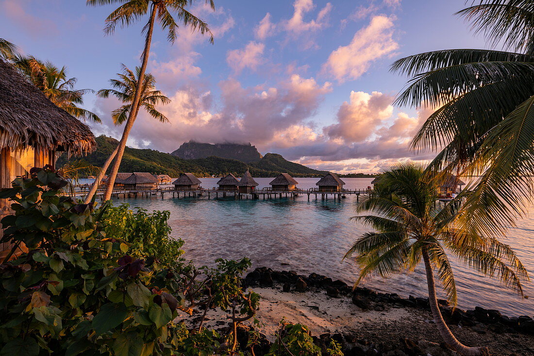 Kokospalmen und Überwasserbungalows des Sofitel Bora Bora Private Island Resort in der Lagune von Bora Bora bei Sonnenaufgang, Bora Bora, Leeward Islands, Französisch-Polynesien, Südpazifik