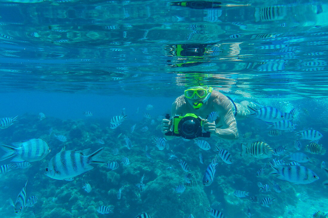 Unterwasseraufnahme von Mann mit Panasonic Lumix Kamera mit Unterwassergehäuse beim Schnorcheln mit tropischen Fischen in der Lagune von Bora Bora, Bora Bora, Leeward Islands, Französisch-Polynesien, Südpazifik