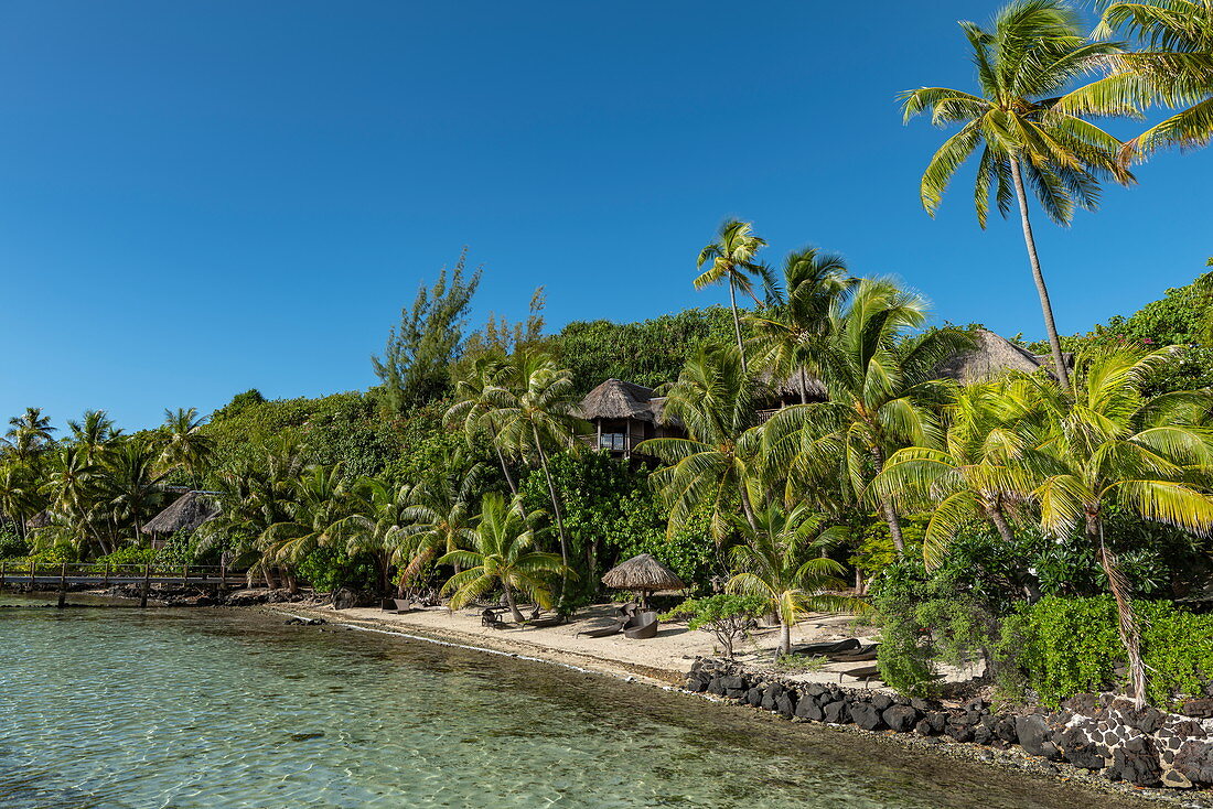 Coconut trees, beach and bungalows of the Sofitel Bora Bora Private Island Resort in the Bora Bora Lagoon, Bora Bora, Leeward Islands, French Polynesia, South Pacific