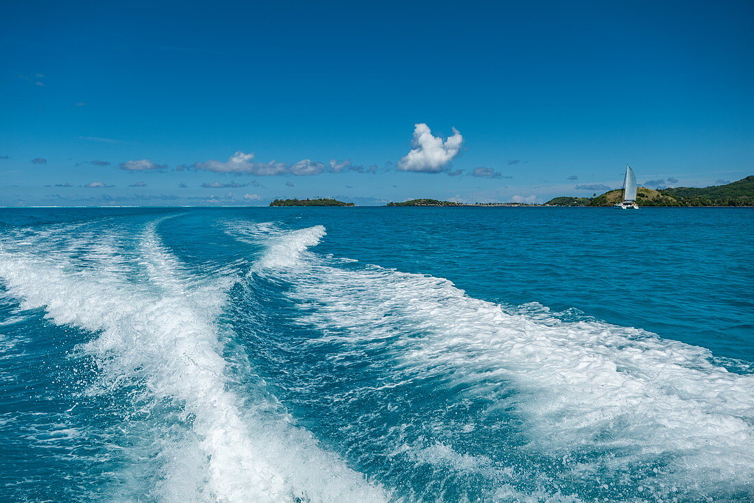 The waves of a speedboat in the turquoise waters of the Bora Bora Lagoon, Bora Bora, Leeward Islands, French Polynesia, South Pacific