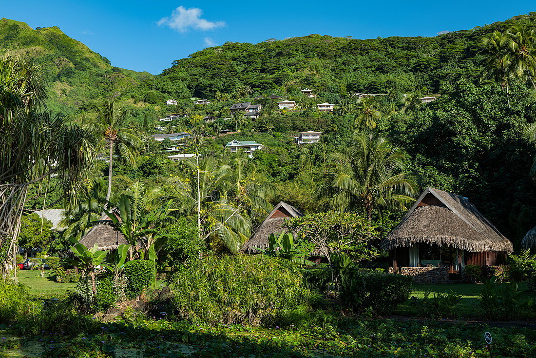 Garden bungalows of the Sofitel Ia Ora Beach Resort with houses on the mountainside, Moorea, Windward Islands, French Polynesia, South Pacific