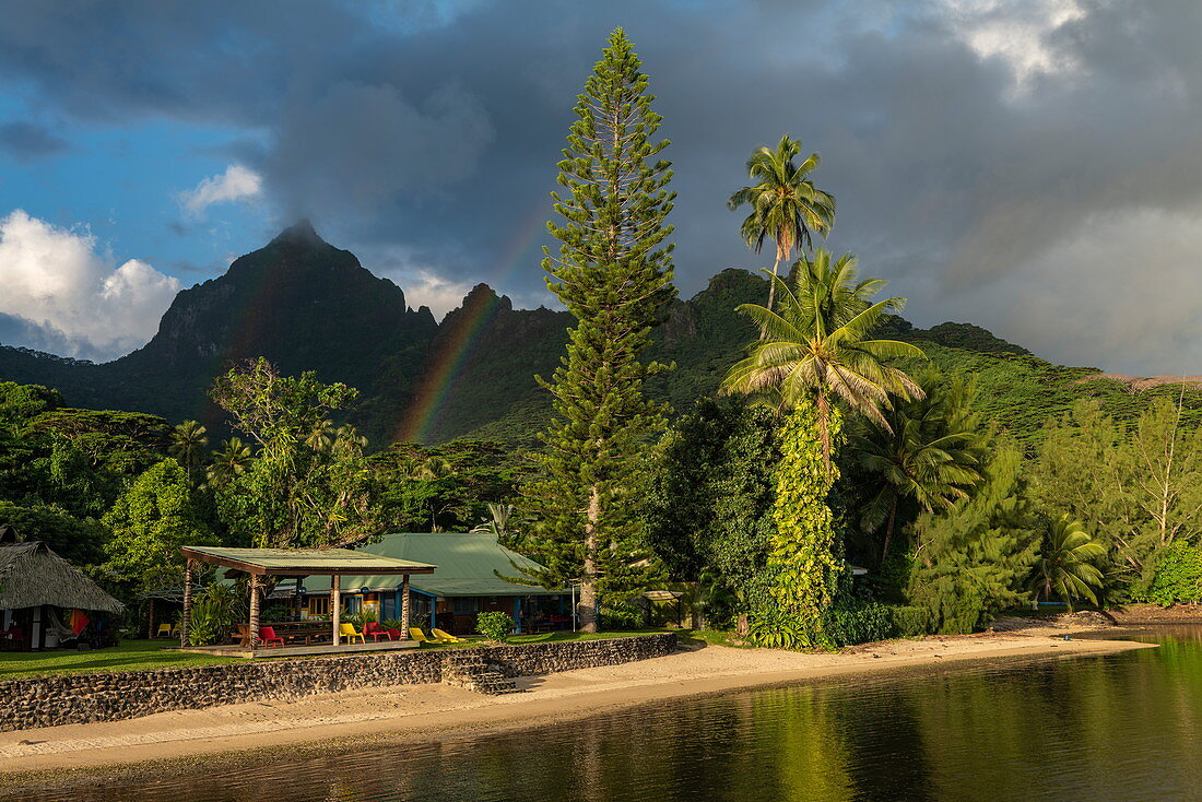 The picturesque Linareva Beach Resort with trees, rainbows and mountains, Teniutaoto, Moorea, Windward Islands, French Polynesia, South Pacific