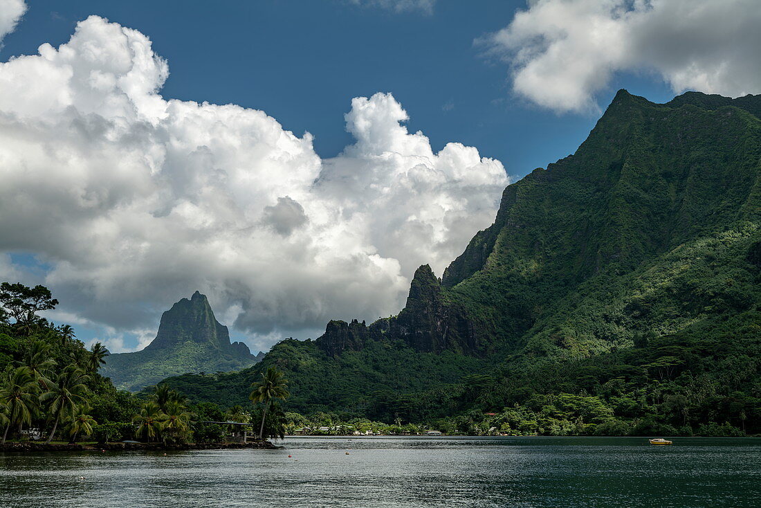 Cook's Bay coastline with Mount Tohivea in the distance, Moorea, Windward Islands, French Polynesia, South Pacific