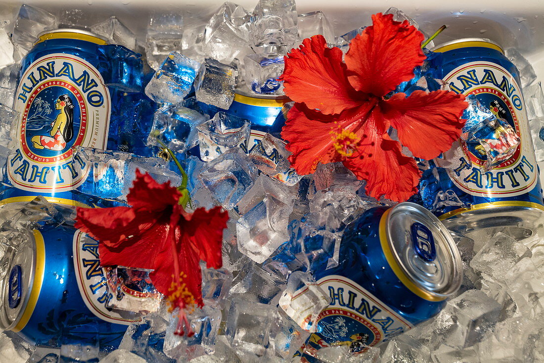 Cans of Hinano beer are chilled in ice cubes with red hibiscus flowers as decoration, near Papeete, Tahiti, Windward Islands, French Polynesia, South Pacific