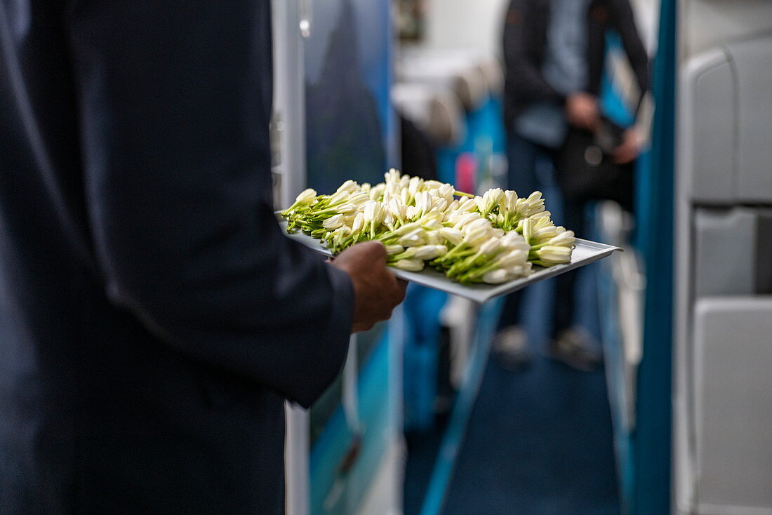 Flugbegleiter mit Tablett frischer tahitianische Tiare Blumen zur Begrüßung von Passagieren an Bord von Air Tahiti Nui Boeing 787 Dreamliner Flugzeug, Flughafen Paris Charles de Gaulle (CDG), nahe Paris, Frankreich