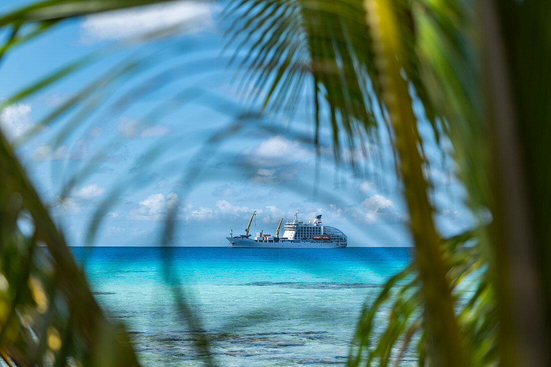 Palmwedel mit Passagierfrachtschiff Aranui 5 (Aranui Cruises) vor Anker in der Lagune in der Ferne, Insel Avatoru, Rangiroa-Atoll, Tuamotu-Inseln, Französisch-Polynesien, Südpazifik