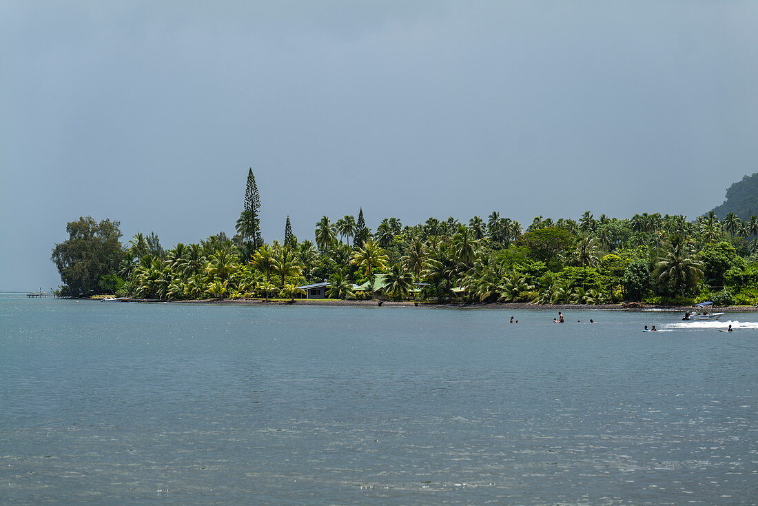 Menschen schwimmen im Wasser mit einer von Bäumen gesäumten Küste dahinter, Teahupoo, Tahiti, Windward Islands, Französisch-Polynesien, Südpazifik