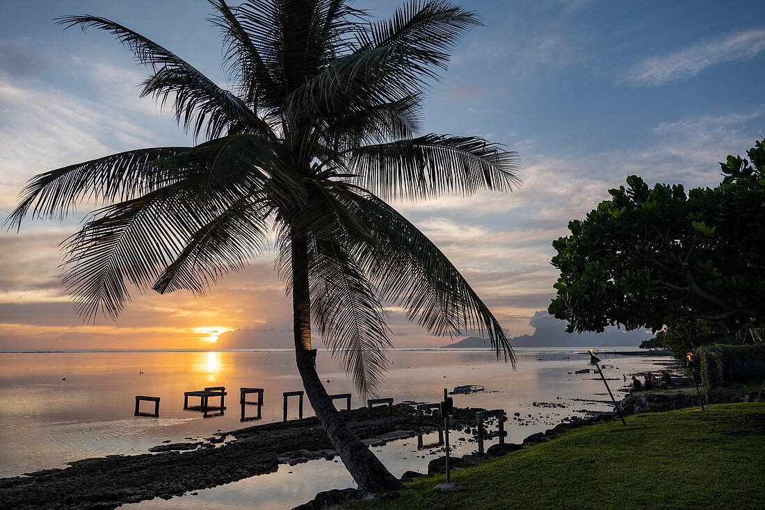 Silhouette von Kokospalme außerhalb des Restaurants des Tahiti Ia Ora Beach Resort (managed by Sofitel) bei Sonnenuntergang, nahe Papeete, Tahiti, Windward Islands, Französisch-Polynesien, Südpazifik