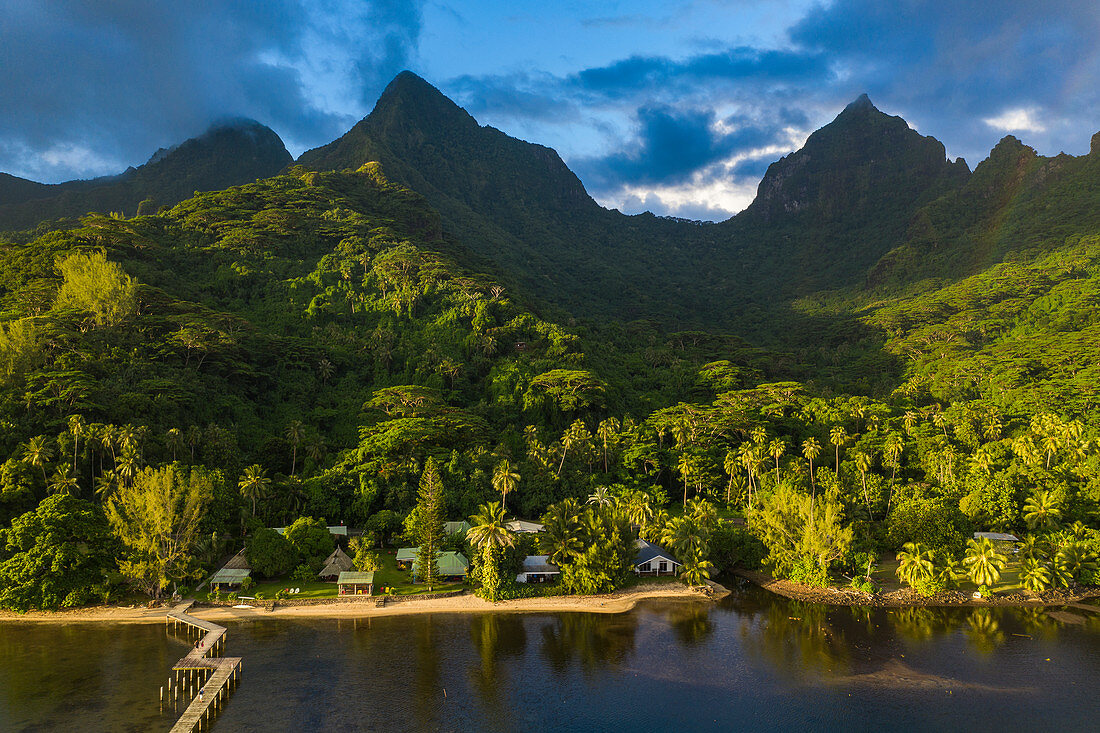 Aerial view of Linareva Beach Resort with trees, lush vegetation and mountains behind, Teniutaoto, Moorea, Windward Islands, French Polynesia, South Pacific