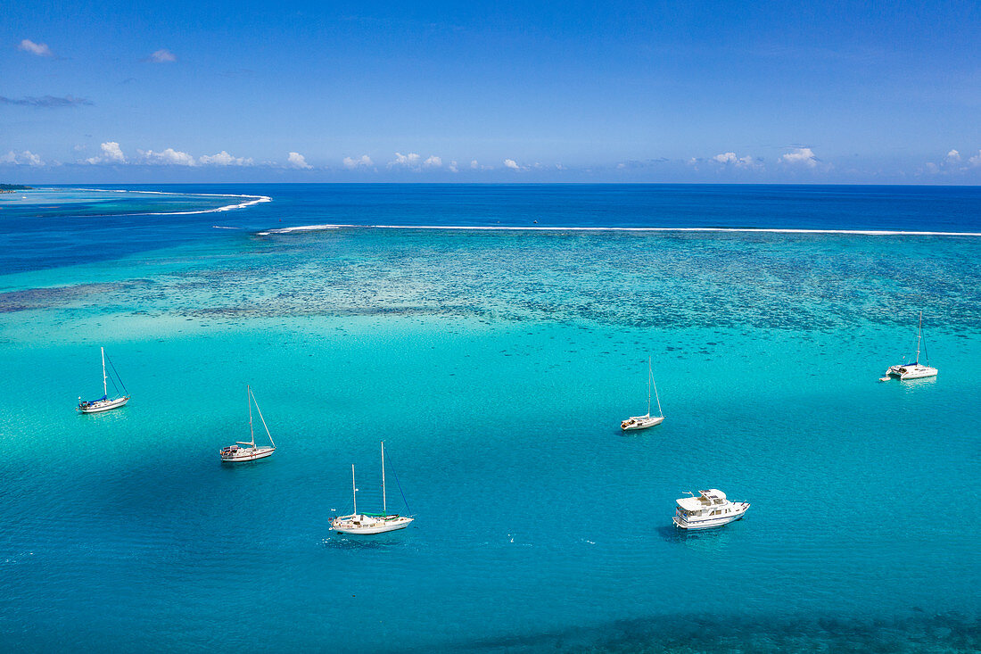 Luftaufnahme von Segelbooten vor Anker in der Opunohu Bay, Moorea, Windward Islands, Französisch-Polynesien, Südpazifik