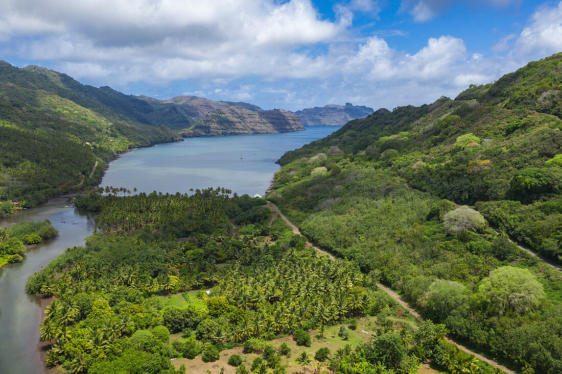 Luftaufnahme von Kokospalmen am Strand an Flussmündung, Taipivai, Nuku Hiva, Marquesas-Inseln, Französisch-Polynesien, Südpazifik