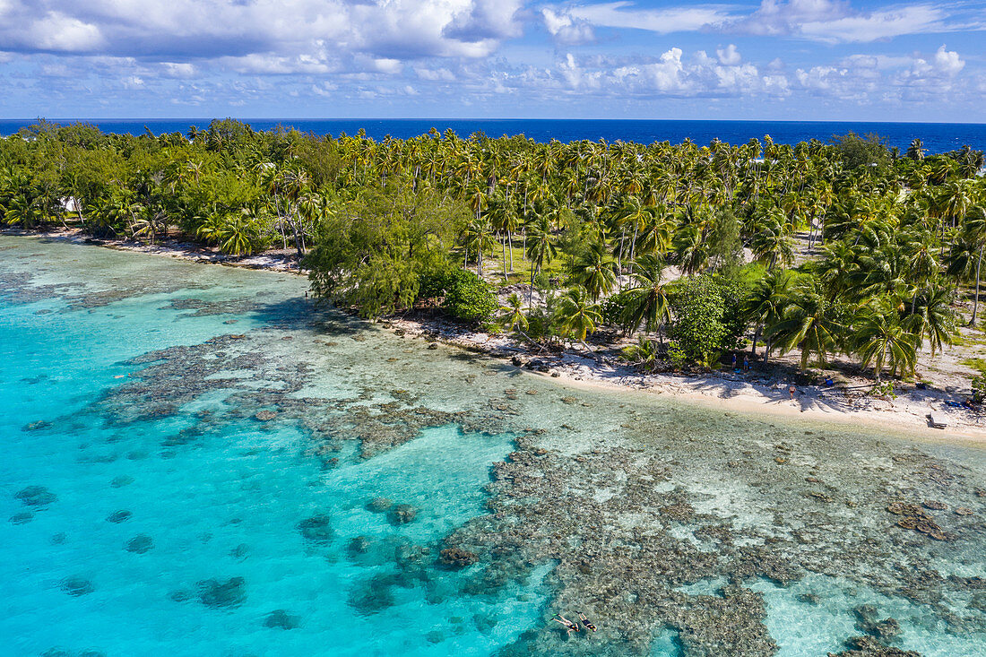 Luftaufnahme von Menschen die sich am Strand entspannen mit Plantage von Kokosnussbäumen dahinter, Insel Avatoru, Rangiroa-Atoll, Tuamotu-Inseln, Französisch-Polynesien, Südpazifik