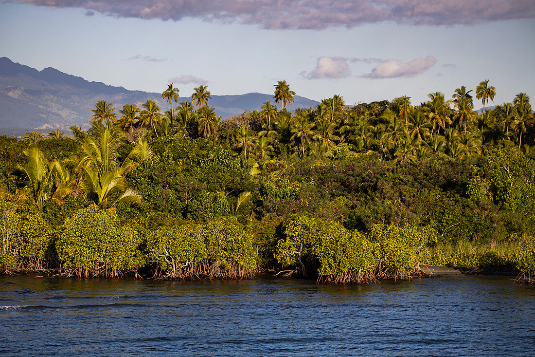 Mangroven, Palmen und üppige Vegetation mit Bergen dahinter, Port Denarau, nahe Nadi, Viti Levu, Fidschi-Inseln, Südpazifik