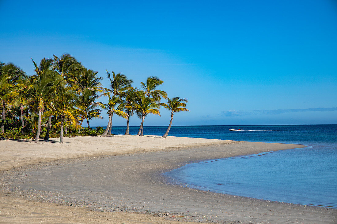 Kokospalmen säumen den Strand vor den Residence Villa Unterkünften im Six Senses Fiji Resort, Malolo Island, Mamanuca Group, Fidschi-Inseln, Südpazifik