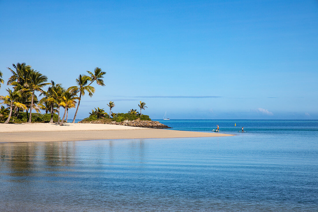Kokospalmen und Strand im Six Senses Fiji Resort mit Familie auf SUP Stand Up Paddle Boards, Malolo Island, Mamanuca Group, Fidschi-Inseln, Südpazifik