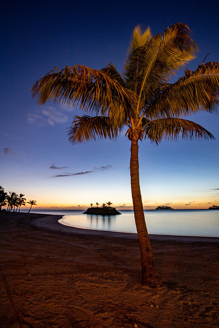 Kokospalme, Strand und kleine vorgelagerte Insel im Six Senses Fiji Resort in  der Abenddämmerung, Malolo Island, Mamanuca Group, Fidschi-Inseln, Südpazifik