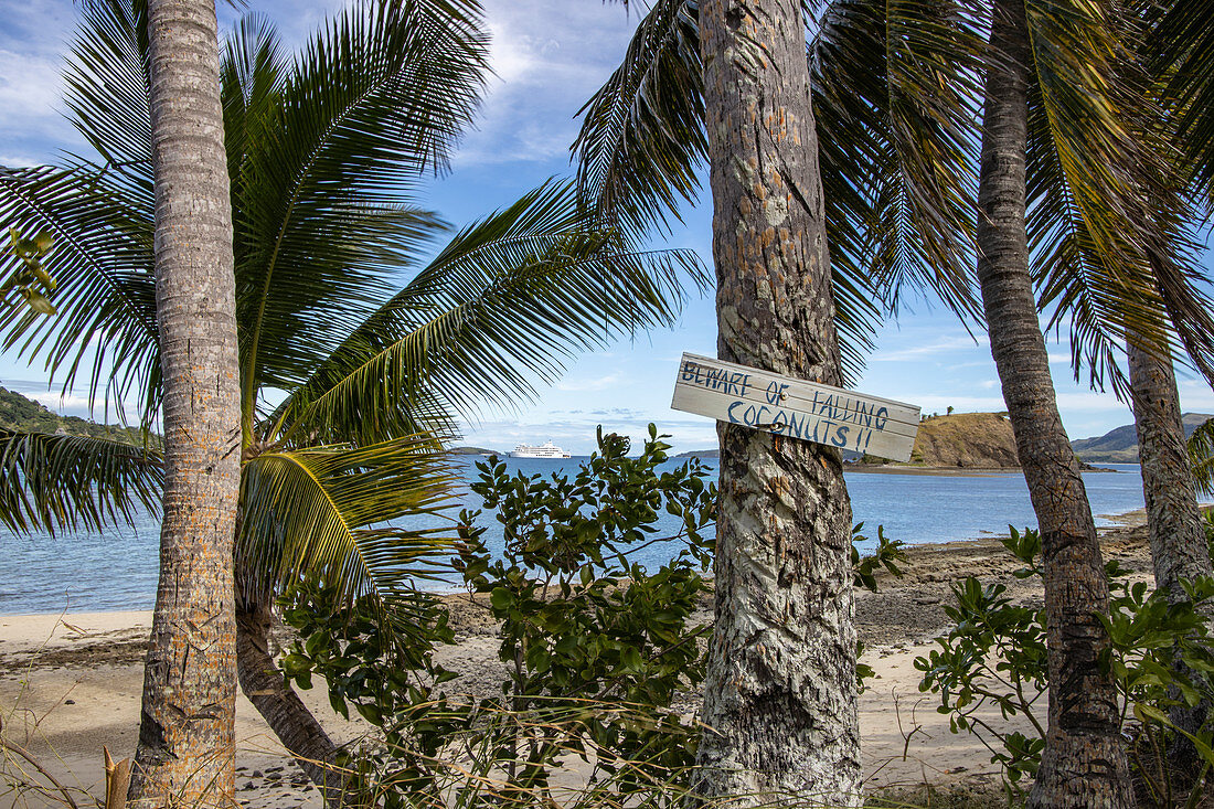 Achtung, Kokosnüsse! Ein Warnschild an einer Kokospalme warnt vor herabfallenden Kokosnüssen, Nabukeru, Yasawa Island, Yasawa Group, Fidschi-Inseln, Südpazifik