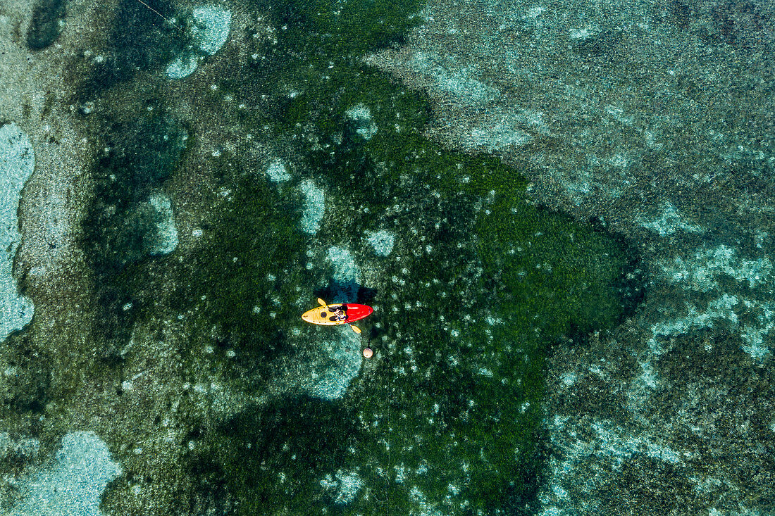 Aerial view of passengers of the cruise ship MV Reef Endeavor (Captain Cook Cruises Fiji) enjoying water sports along coral reef, Yaqeta, Yangetta Island, Yasawa Group, Fiji Islands, South Pacific