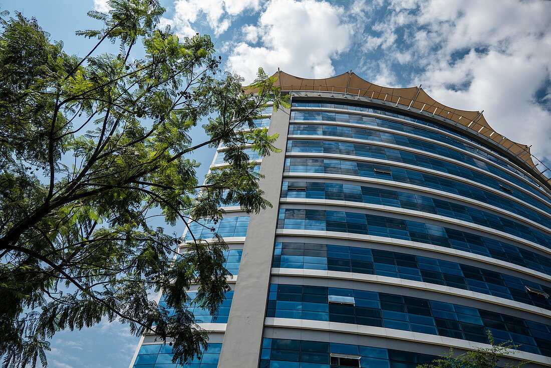 Tree and high-rise office building in the city center, Kigali, Kigali Province, Rwanda, Africa