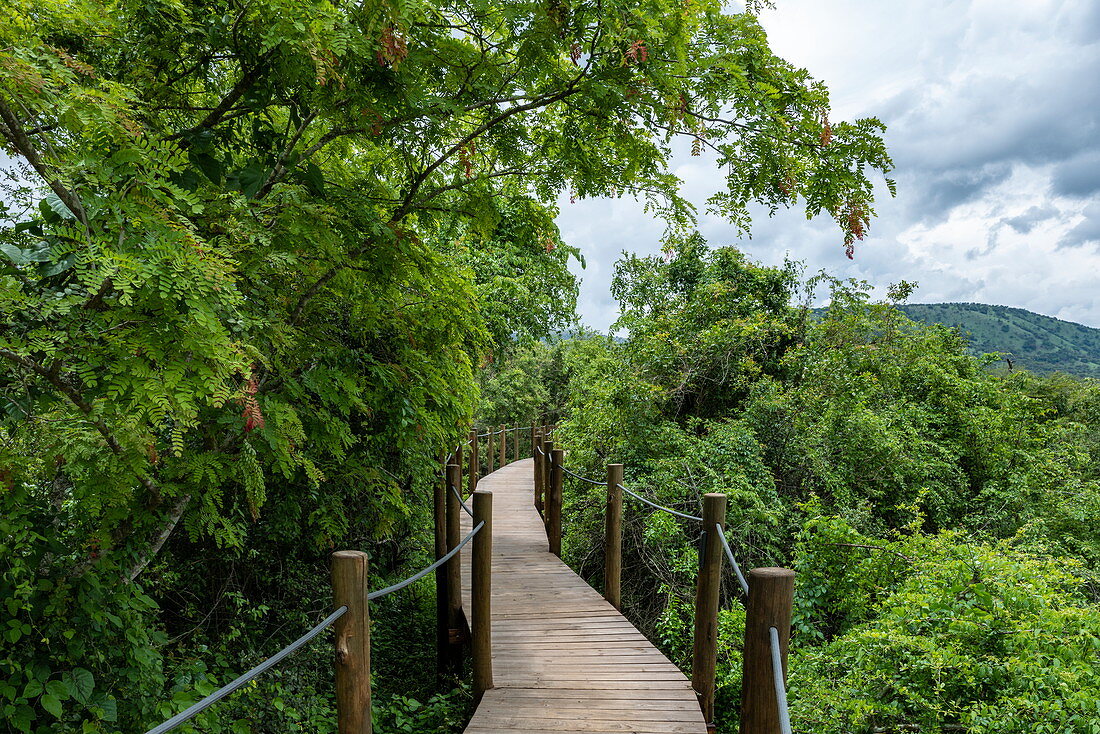 Wooden walkway leads to luxury tent accommodations at the luxury tented resort Magashi Camp (Wilderness Safaris), Akagera National Park, Eastern Province, Rwanda, Africa