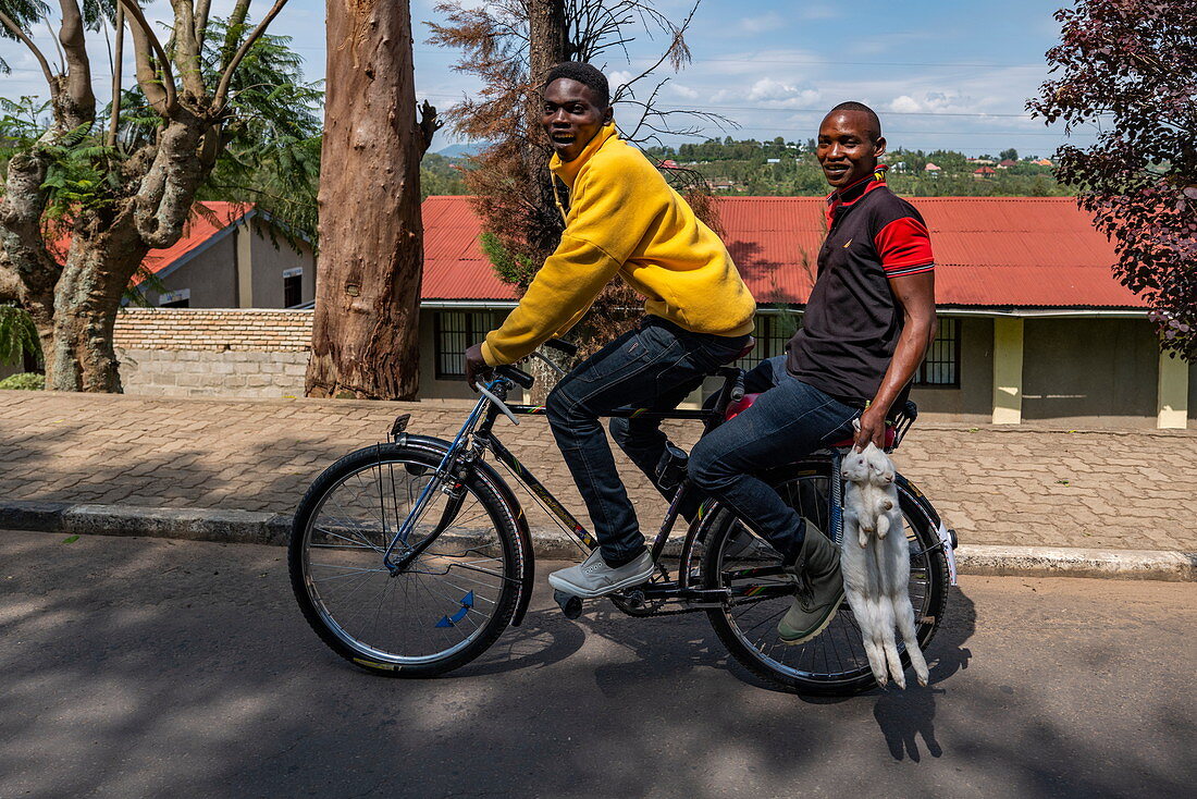 Zwei junge Männer auf dem Fahrrad mit zwei getöteten Kaninchen in der Hand, Nyanza, Southern Province, Ruanda, Afrika