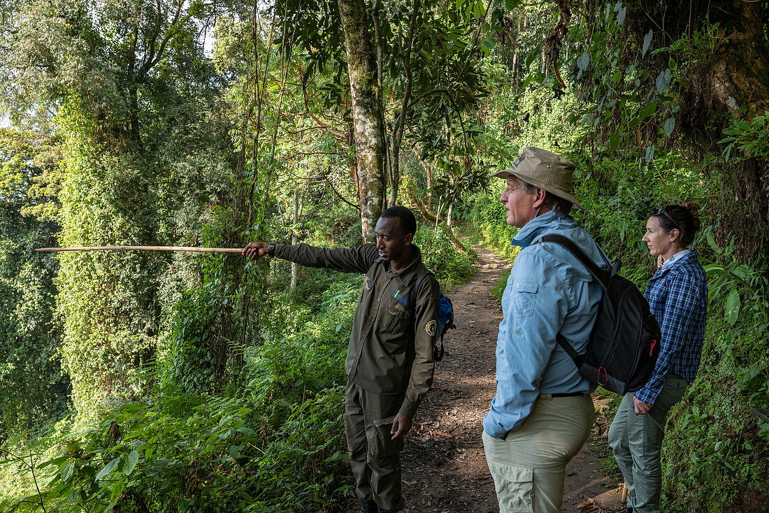Ranger Guide erklärt einem Paar die Natur entlang des Igishigishigi Trail auf dem Weg zum Canopy Walkway, Nyungwe Forest National Park, der Western Province, Ruanda, Afrika