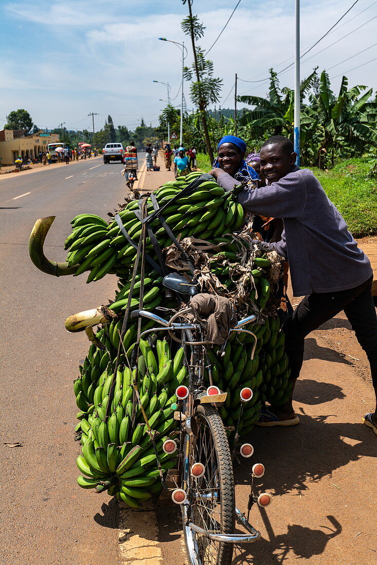 Menschen lächeln während sie schwere Bananenstauden auf dem Fahrrad transportieren, nahe Kagano, Western Province, Ruanda, Afrika