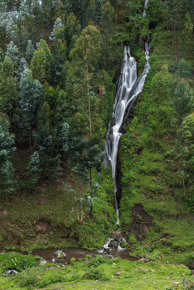 Wasserfall und Bäume am Hang, nahe Musanze, Northern Province, Ruanda, Afrika