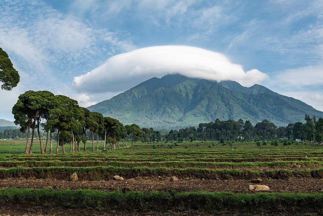 Cloud hovers over mountain, Volcanoes National Park, Northern Province, Rwanda, Africa