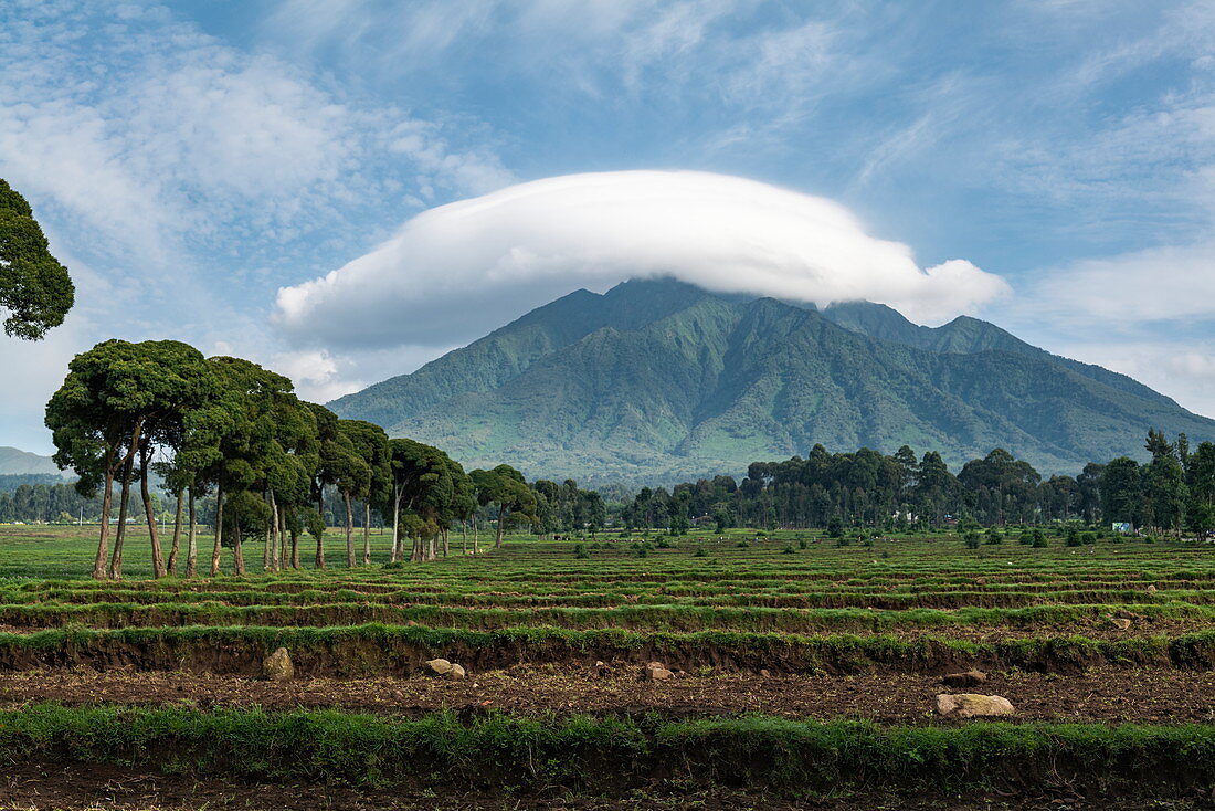 Wolke schwebt über Berg, Volcanoes National Park, Northern Province, Ruanda, Afrika