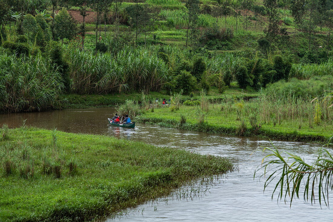 Canoe excursion on river through lush green landscape, near Ruhengeri, Northern Province, Rwanda, Africa
