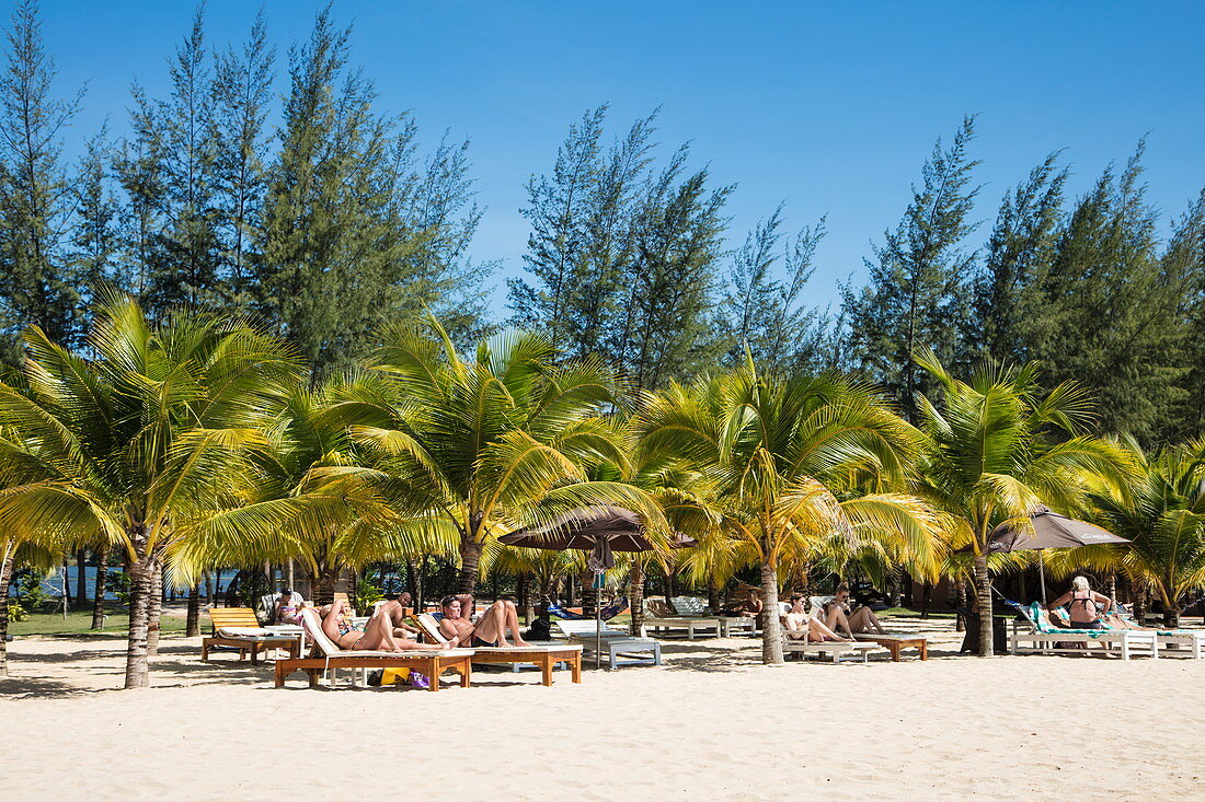 Kokospalmen und Strandliegen im Chez Carole Phu Quoc Resort am Ong Lang Beach, nahe Cua Can, Insel Phu Quoc, Kien Giang, Vietnam, Asien