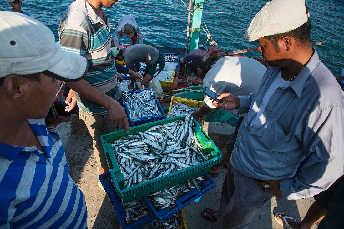 Fischer mit ihrem Fang am Pier, nahe Duong Dong, Insel Phu Quoc, Kien Giang, Vietnam, Asien