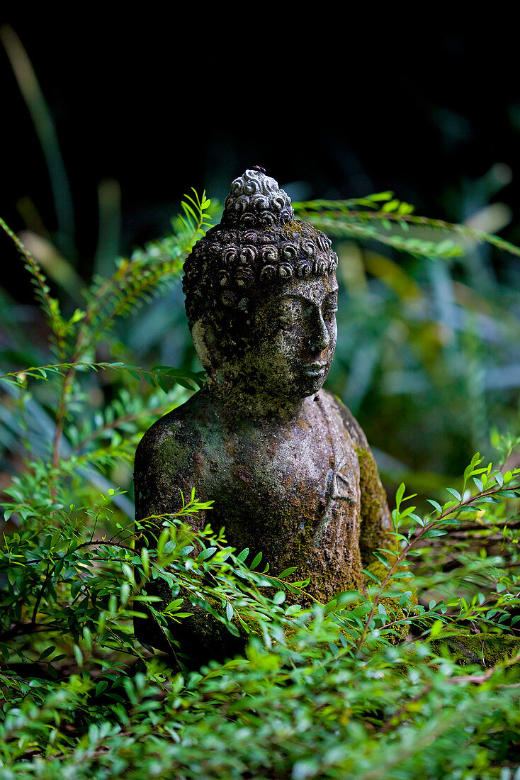 A stone carved Bhudda statue, set in a verdant green garden.\nBali, Indonesia.