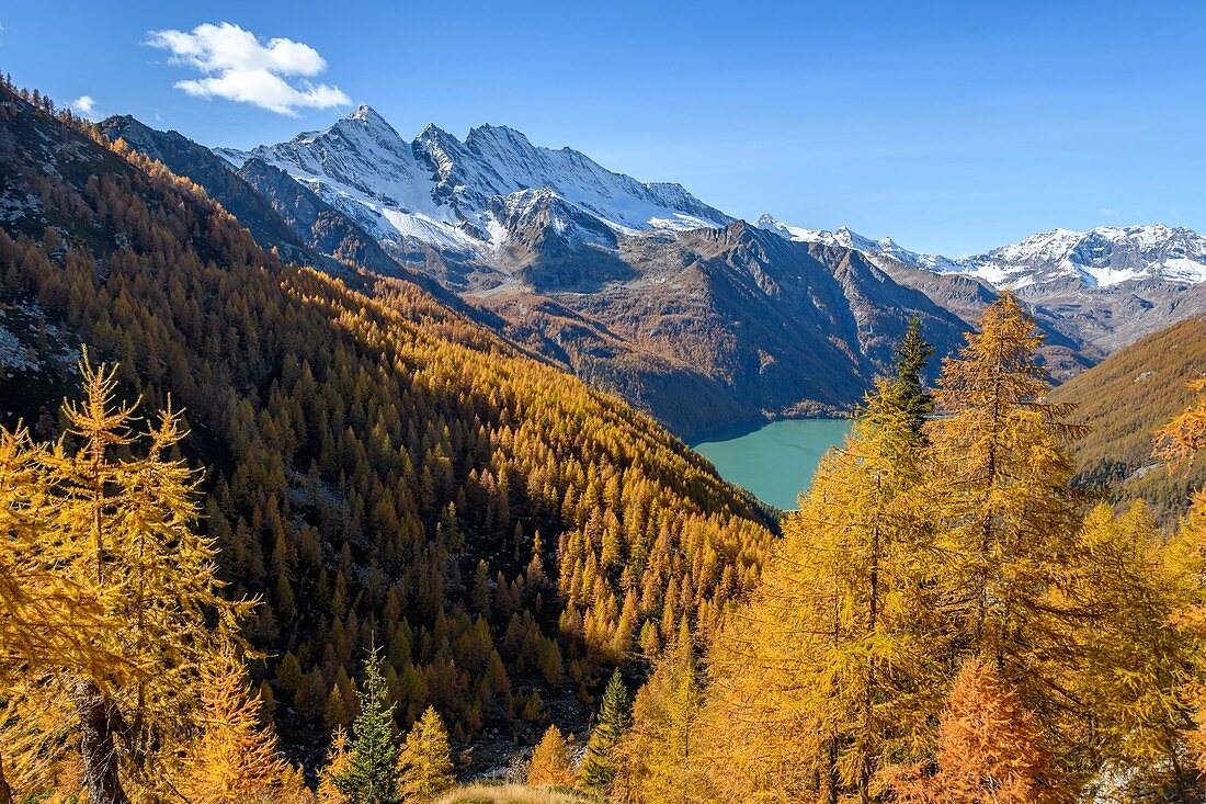 Bellagarda Seezone im Herbst mit Levanne und Ceresole See im Hintergrund (Orco-Tal, Gran Paradiso Nationalpark, Piemont, Italien, italienische Alpen)