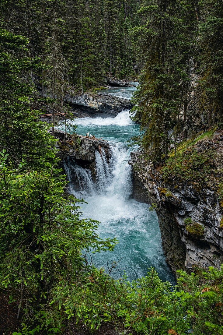 Canada, Alberta, Banff National Park, Bow Valley Parkway, Johnston Canyon: walking on the trail