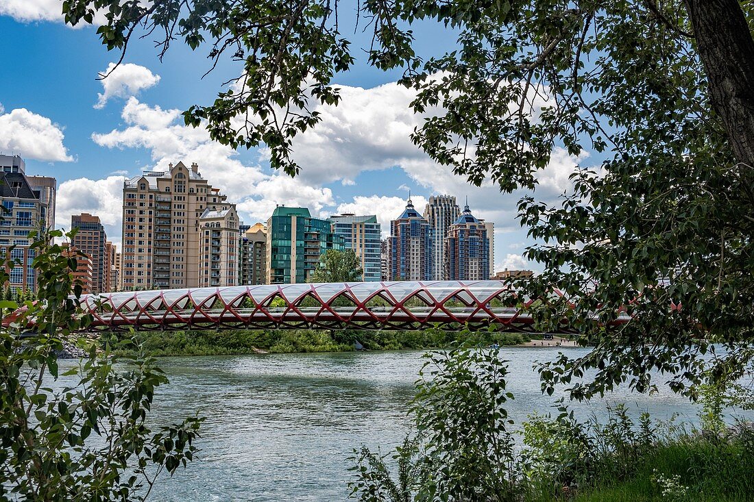 Canada, Alberta, Calgary: skyline from the Peace Bridge