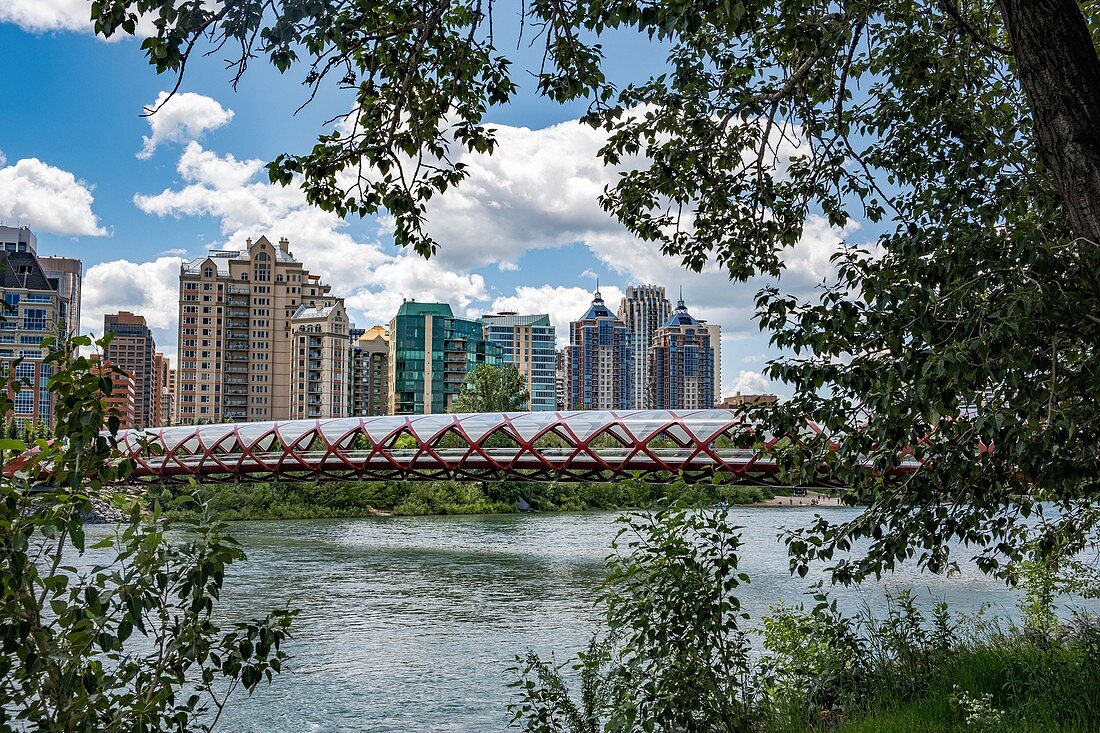 Kanada, Alberta, Calgary: Skyline von der Friedensbrücke