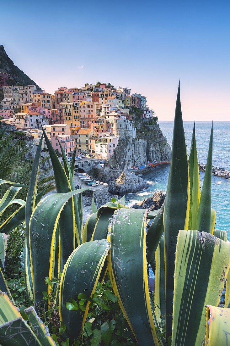 Dorf Manarola, Nationalpark Cinque Terre, Gemeinde Riomaggiore, Provinz La Spezia, Bezirk Ligurien, Italien, Europa