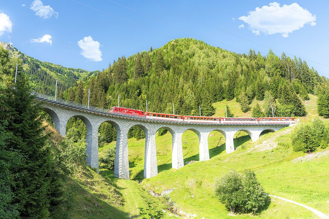 Glacier Express train passes along Tujetsch viaduct surrounded by green woods in summer, Sedrun, Graubunden canton, Switzerland