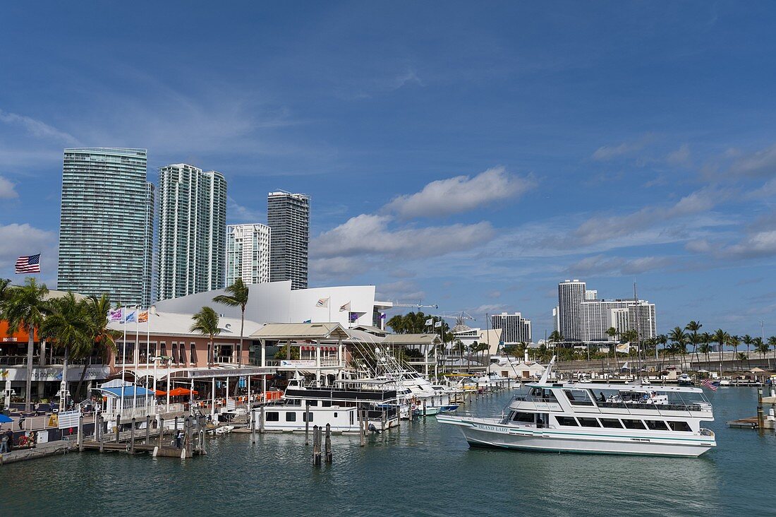 Bayside Marina, Innenstadt, Miami, Florida, USA.