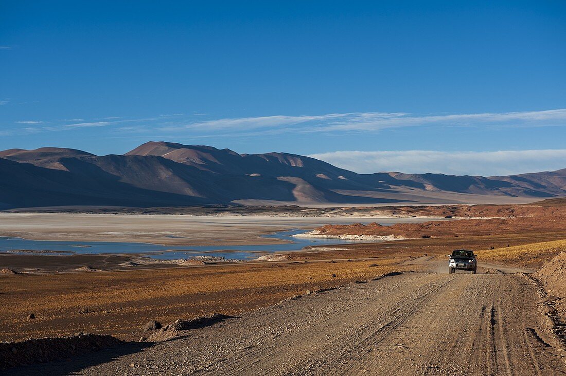 Salar de Talar, Atacama-Wüste, Chile.