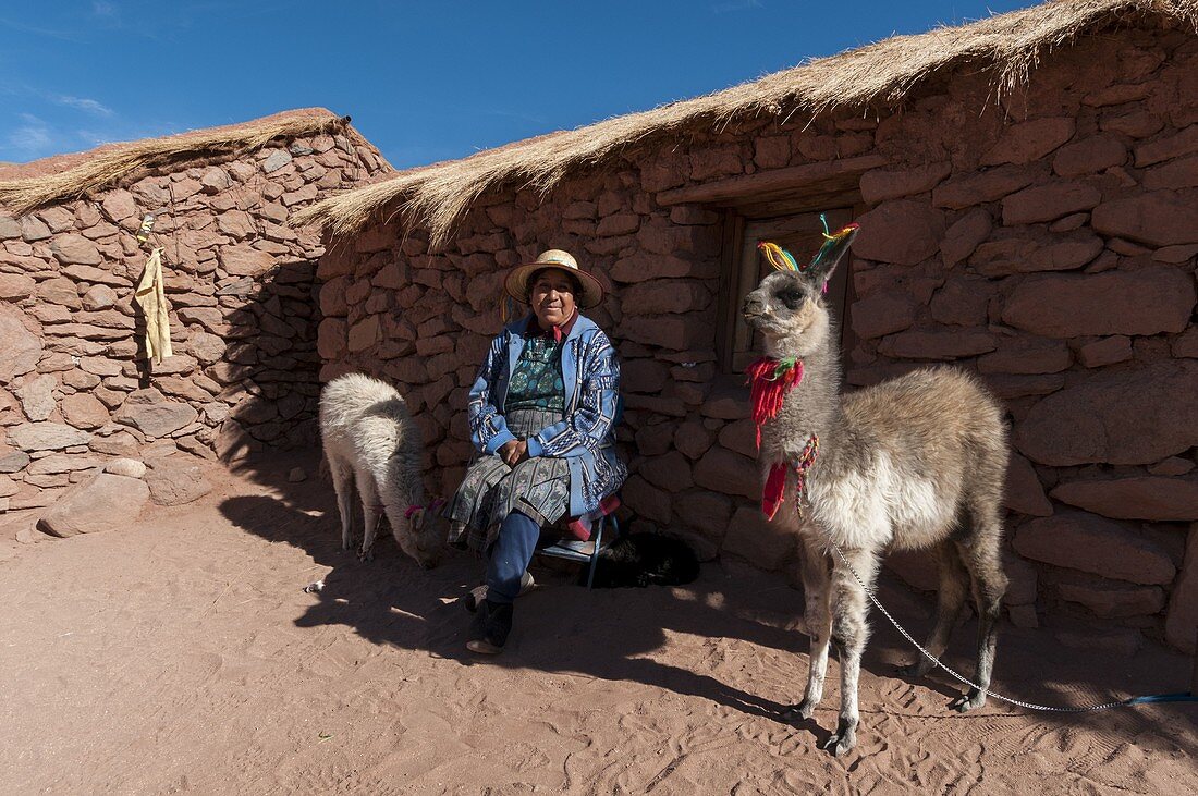 Frau mit Lamas, Machuca-Dorf, Atacama-Wüste, Chile.