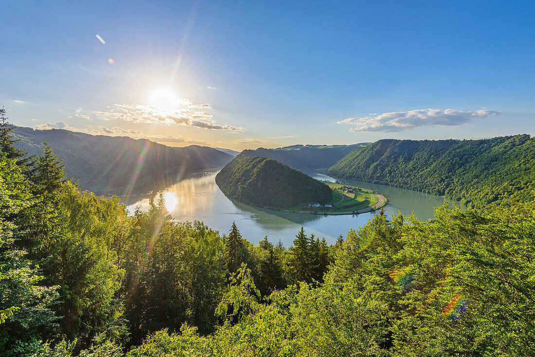 Schlögener Schlinge an der Donau in Oberösterreich, Österreich