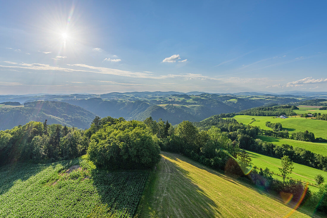 View from Burgstall on the valleys of the Danube and the Kleine Mühl, Upper Austria, Austria