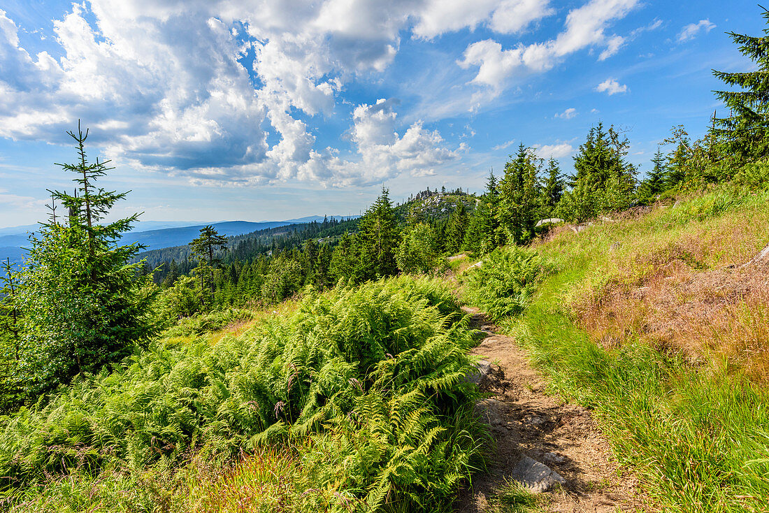 View of the Dreisesselberg in the Bavarian Forest, Bavaria, Germany